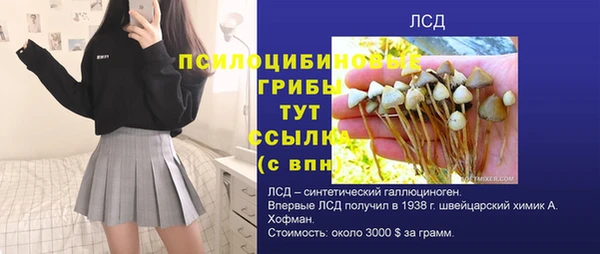ECSTASY Алексеевка