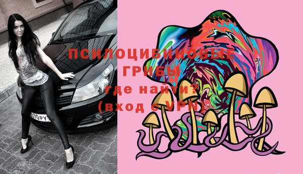 дмт Алзамай