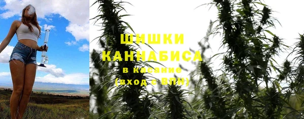 ГАЛЛЮЦИНОГЕННЫЕ ГРИБЫ Алексин